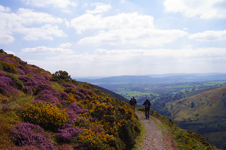 On the path skirting around Grindle