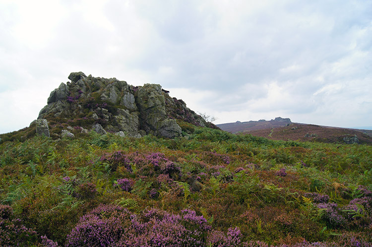 Shepherd's Rock