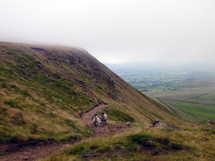 The east facing flank of Pendle Hill