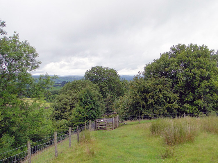 Lovely green landscape at Lane End