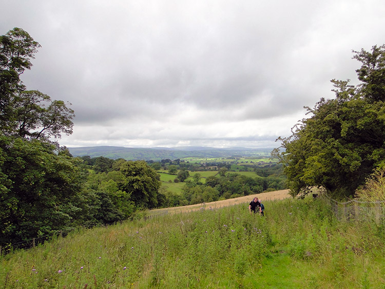 Looking back to the lush green fields of Ribblesdale