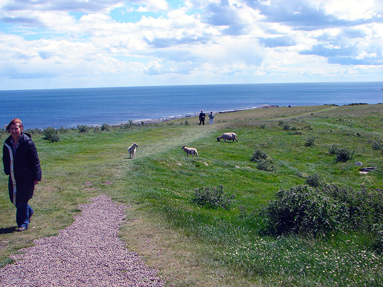 Strolling along the Northumberland coast