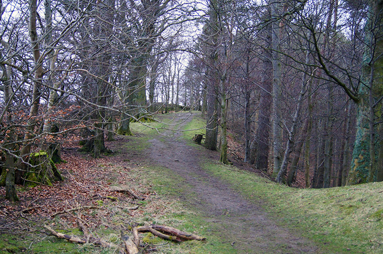 Bowlees Nature Reserve