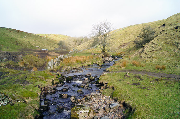 Ettersgill Beck at Birch Bush