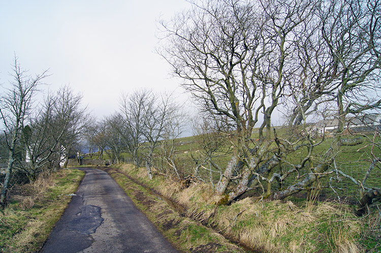 Walking from the moor toward Dale Cottage