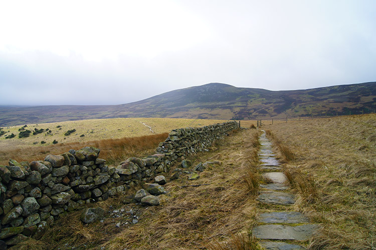 Following the Pennine Way at Bracken Rigg