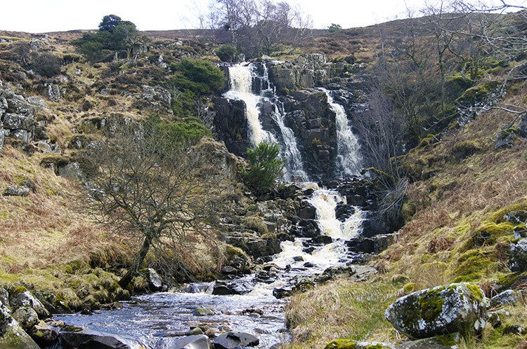 Bleabeck Force