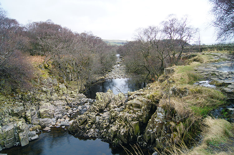 Ox-Bow in the River Tees near Low Force