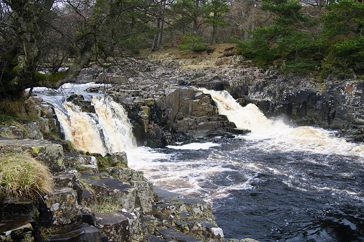 Low Force