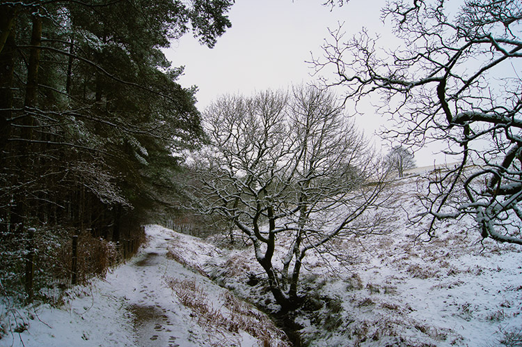 Path to the Pennines