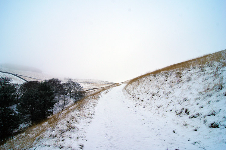 On the path to Tunshill Lane