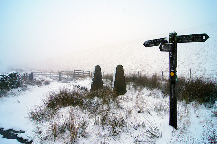 Junction of paths at Tunns Hill