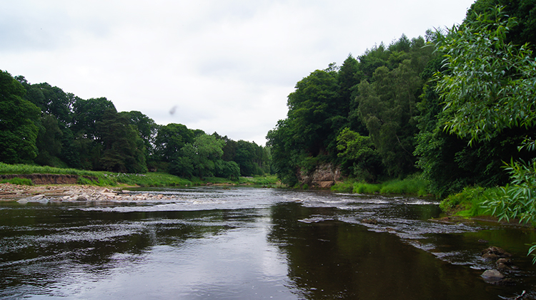 River Eden near Lacy's Caves