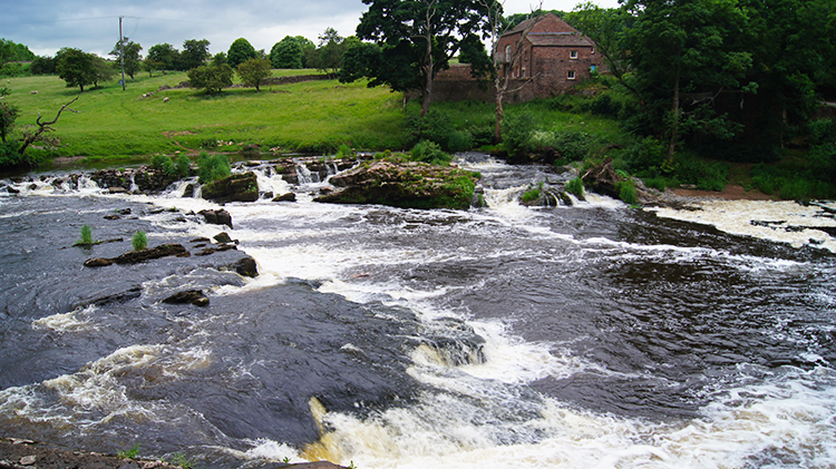 River Eden near Force Mill