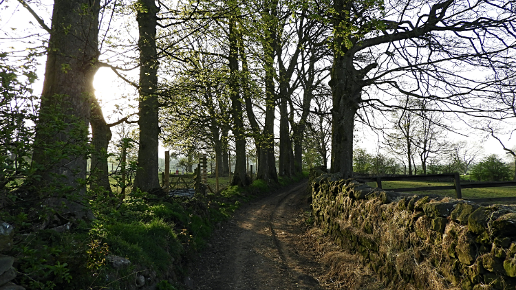 Following the track leading from Milburn