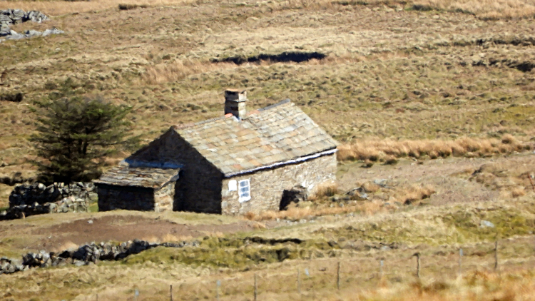 Greg's Hut