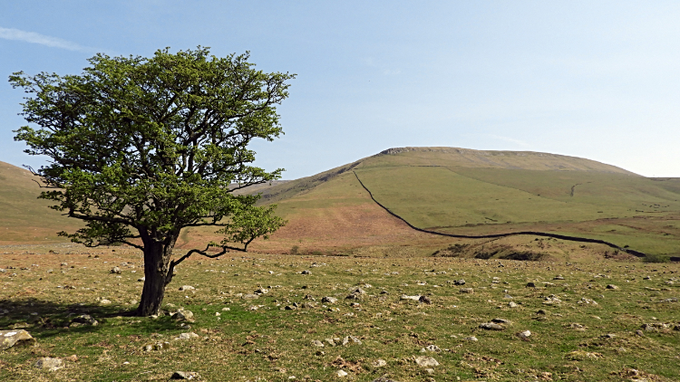 Lovely Pennine Picture