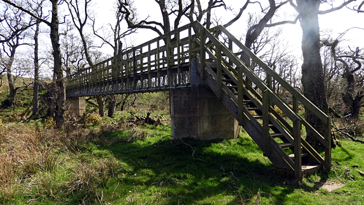 Footbridge over Crowdundle Beck