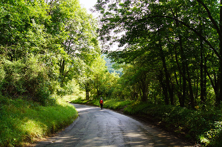 Following the road to Levisham Brow