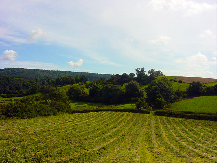 Countryside near High Kilburn