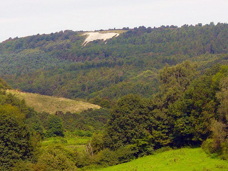 View of the White Horse from High Kilburn