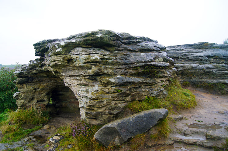 Natural rain shelter