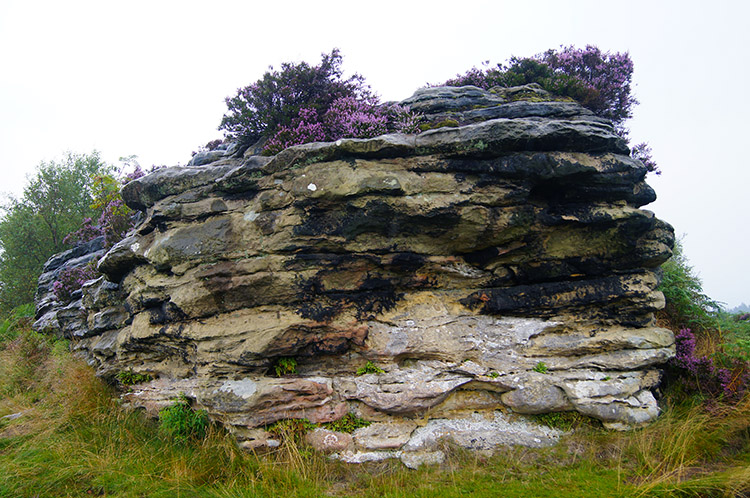 Bridestone with heather crown