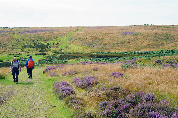 Nearing Dundale Pond