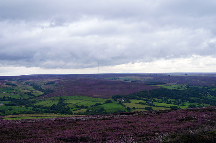 View to Bilsdale Moor from Sun Bank