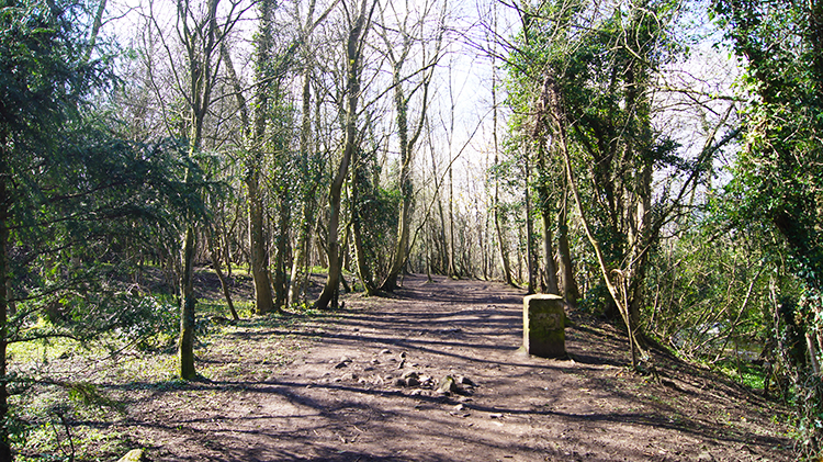 Hell Wath Nature Reserve