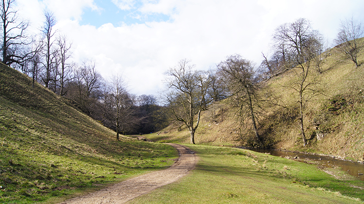Path through Studley Park
