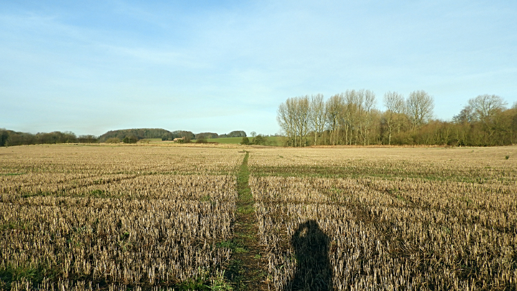 Crossing fields to Whinny Hill