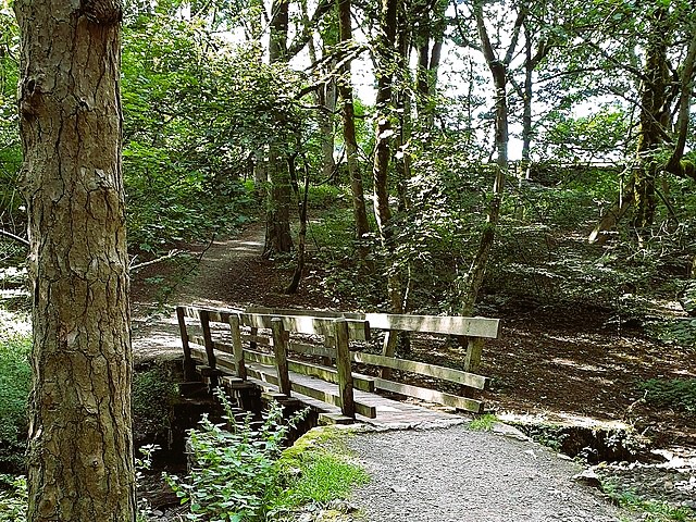 Woodland trail in Sherbrook Valley