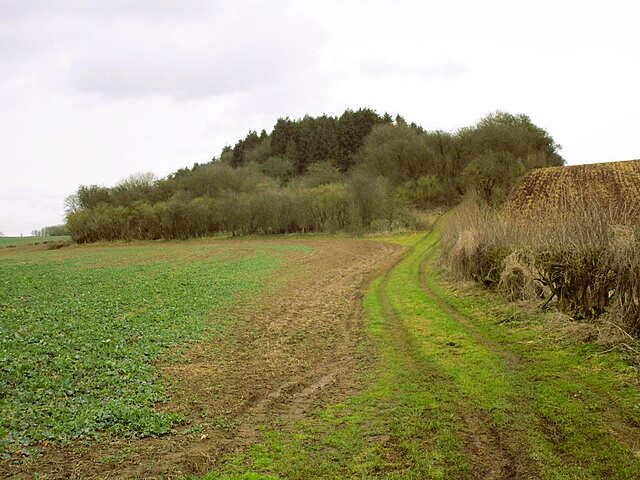 Countryside between Laxton and Kneesall