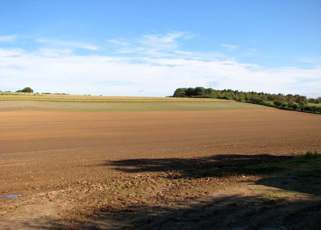 The Barsham's countryside