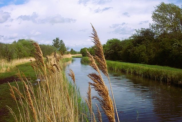 Wicken Lode