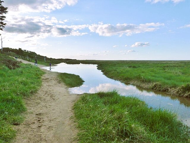 Saltfleet Marsh