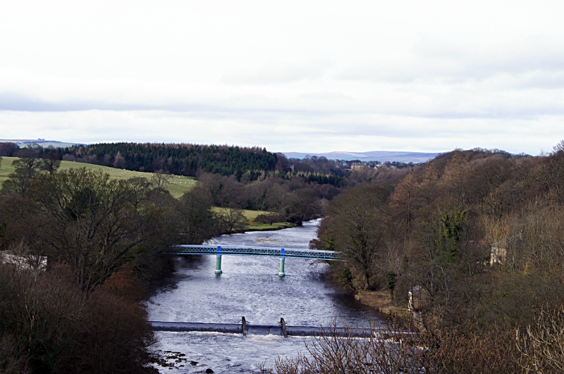 River Tees