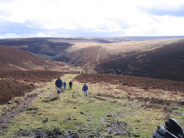 Scenery on Exmoor near Malmsmead Hill