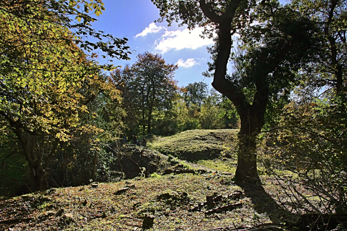 Stokeleigh Camp in Leigh Woods