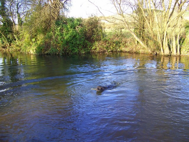 River Wylye