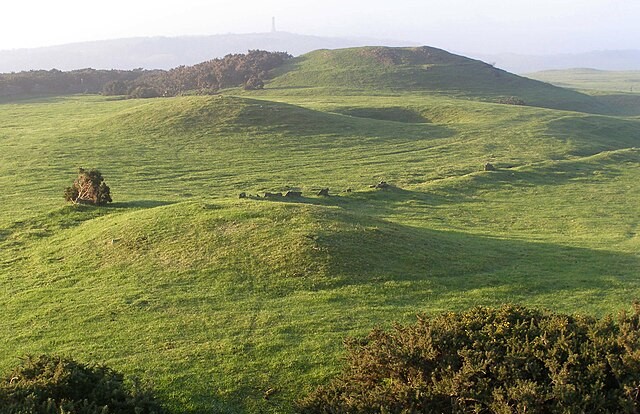 Tumuli on Bronkham Hill