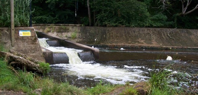Fish ladder in the River Otter