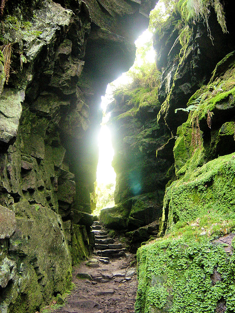 Further on towards daylight in Lud's Church