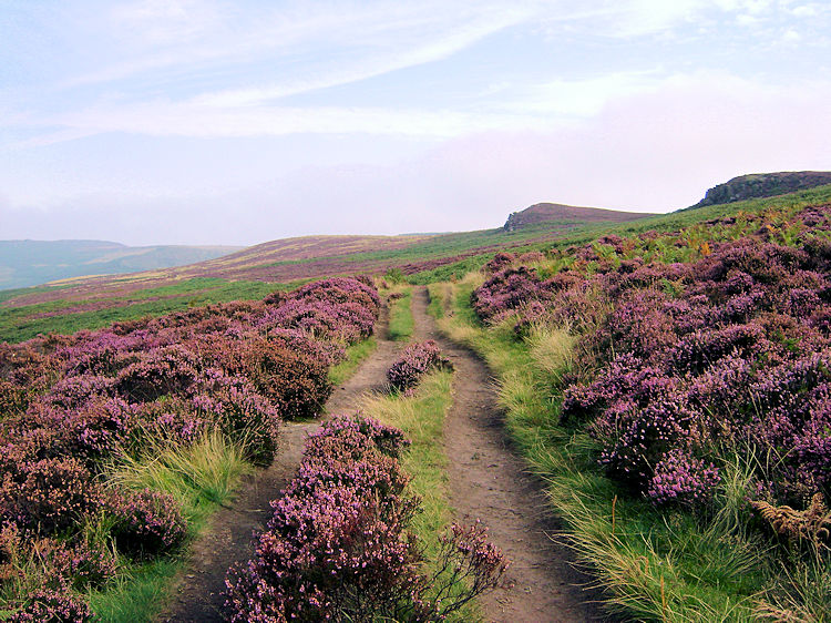 The path past Over Owler Tor and Winyards Nick