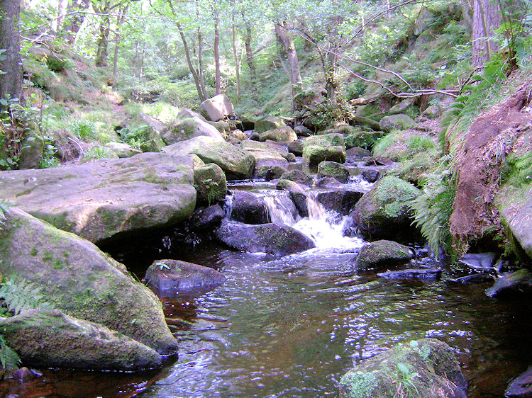 Burbage Brook flowing through Yarncliffe Wood