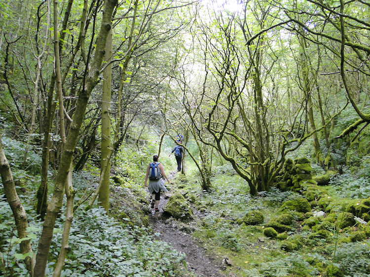 Entering Monk's Dale from the north