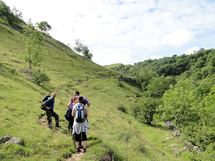 An elevated path on the Monk's Dale walk