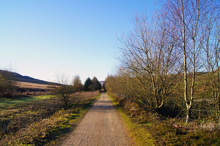 On the Longdendale Trail