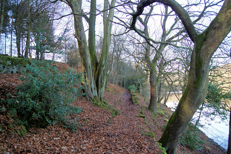The permissive path beside Agden Reservoir